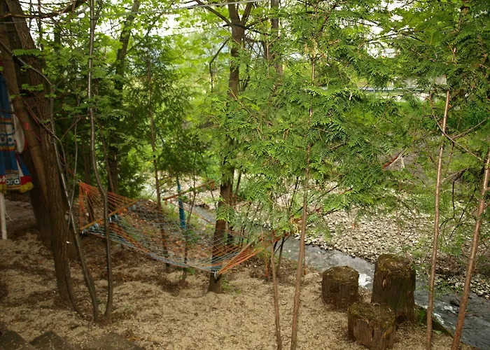 Resort Wyspa Mszanka